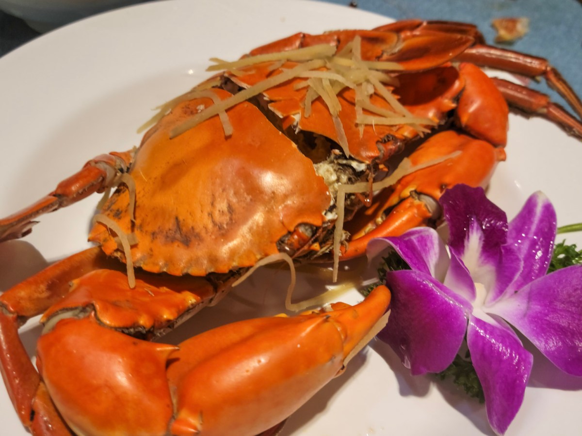 越式海鮮︰法式料理與本地海鮮的結合